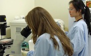 Researchers in a lab thumbnail