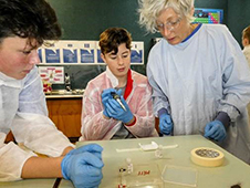 Biotechnology and Genetics experiments at Wellington High School, with Dr Sara Filoche