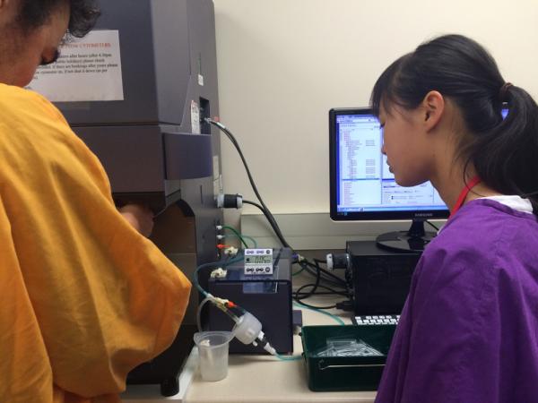 PhD student and demonstrator Ed Taylor shows a student the more technical side of immunology