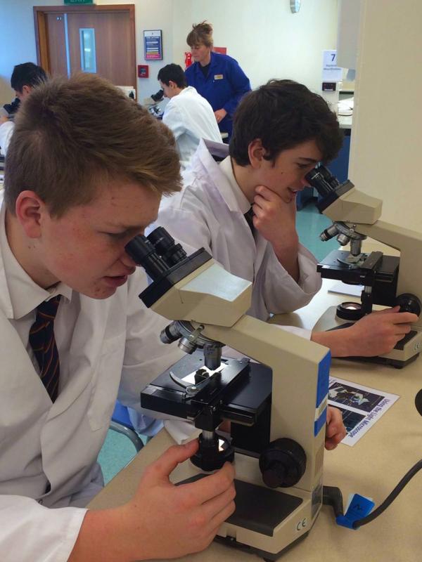 Year 11 at John McGlashan College, examine the life found in pond water