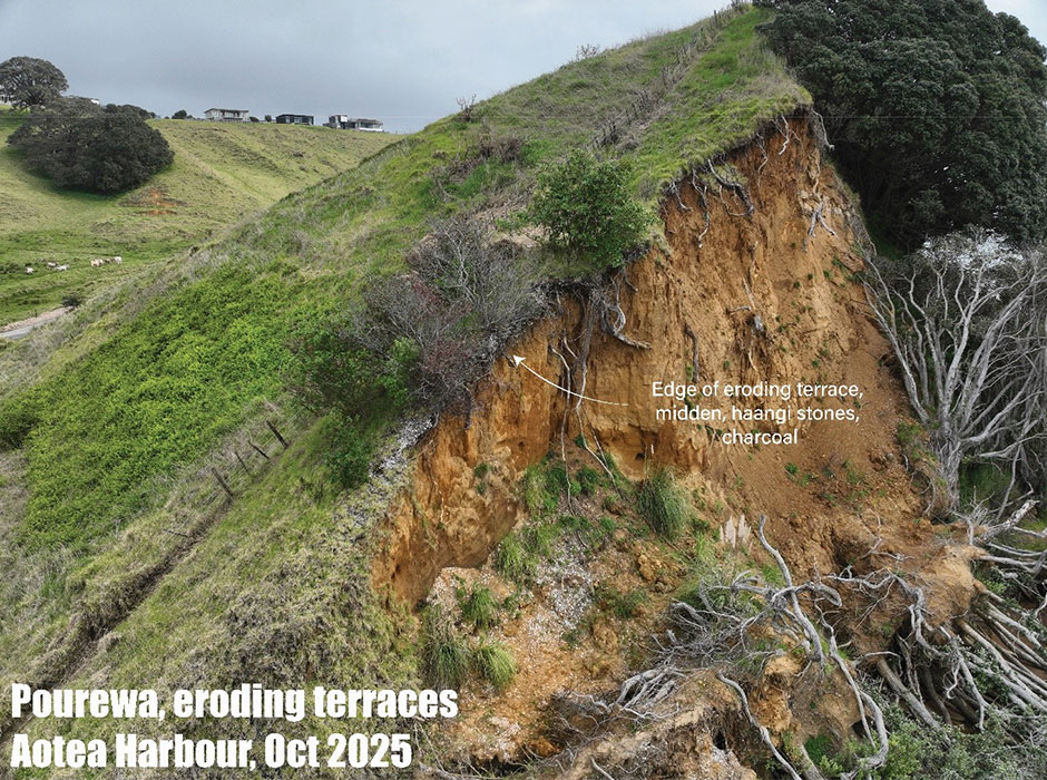 a small hill on a farm eroding into a clay bank 