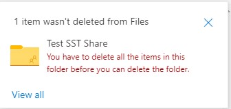 Screenshot showing error when deleting files in a web browser