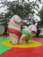 Sumo Wrestling Arana style