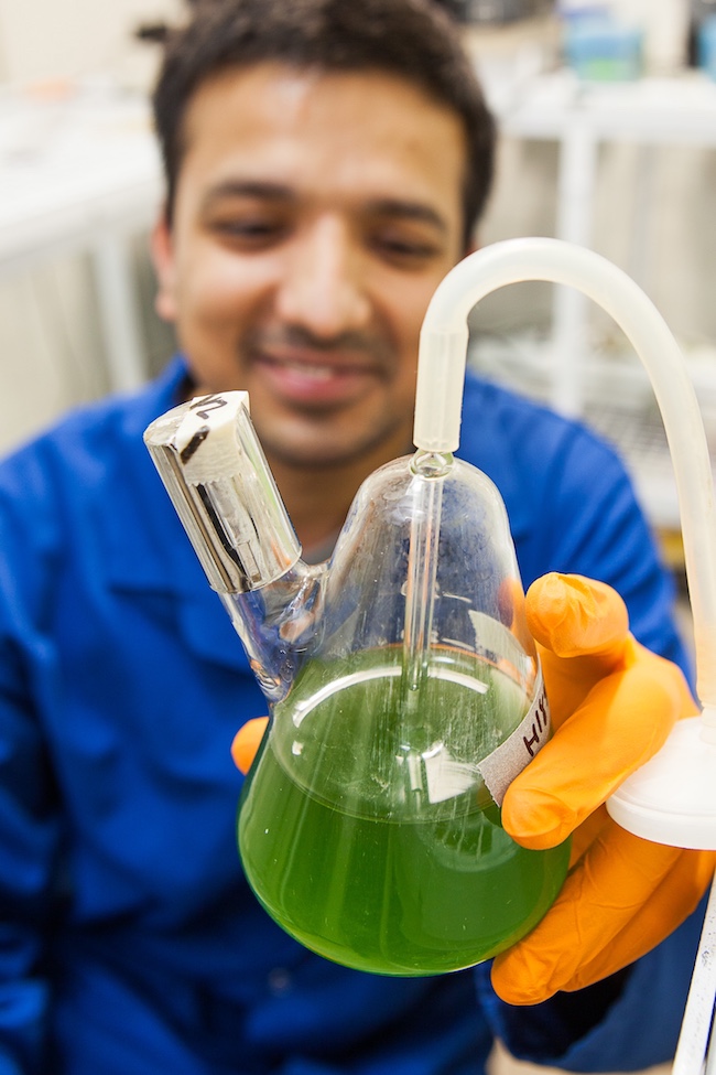 Happy biochemist with a flask of green stuff.