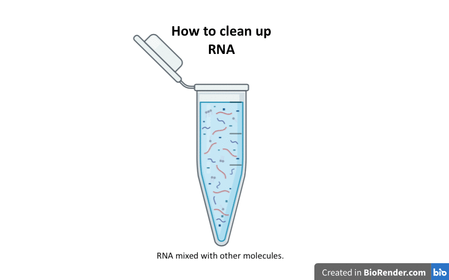 clean up RNA with subtitles
