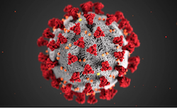 Link to iconic coronavirus picture