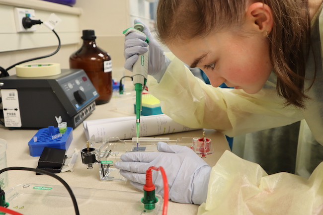 A female student in a pale yellow lab coat loads a blue DNA sample into an agarose gell using a pipette.