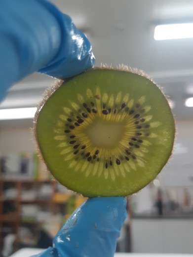 chelsea kerr kiwifruit