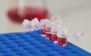 Red samples in a blue tray thumbnail