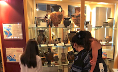 Otago Museum greek vases 232x142