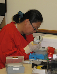 Carefully handling patient samples to assess the presence of potential bladder cancer cells