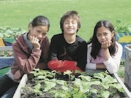 Photo of three children leaning on the edges of their wooden framed vegetable garden