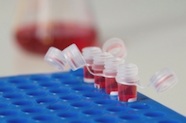 Photo of four vials of red liquid in a blue tray