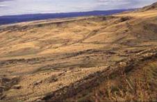 Margin of Dunstan Range, central Otago, with broad alluvial fans made of schist gravel.