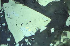 Microscopic view of gold blobs (yellow, centre) in pale grey arsenopyrite, and pale yellow pyrite which makes up most of the large triangular grain.