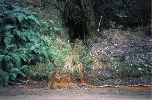Historic gold mine tunnel near Reefton, showing water discharging with abundant brown iron oxyhydroxide precipitates - These precipitates are rich in antimony and arsenic