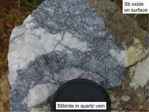 Coarse-grained stibnite crystals (needle-like, grey) forming clusters in white quartz vein material, Hillgrove mine, NSW