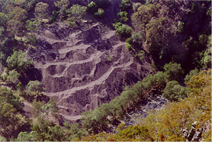 Remnants of historic mine dump adjacent to Bakers Creek