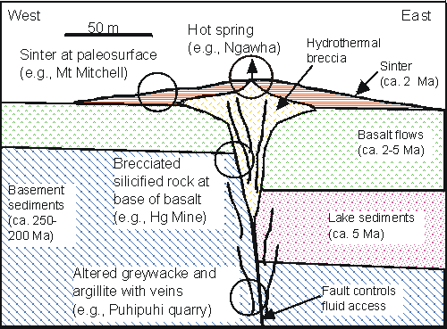 reconstructed cross section through a 4 million year old hot spring system in Northland