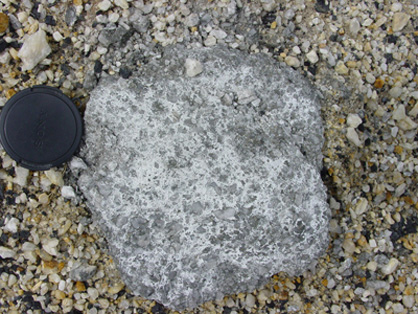 Gypsum crystals (white) as encrustations on pyrite-rich waste rock at Wangaloa