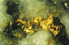 An irregular piece of gold, 3 mm long, in quartz from the Callery valley, Southern Alps