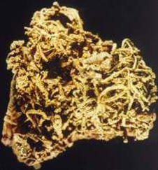 Wire gold nugget (2 cm across) which formed in soil on the Raggedy Range. The gold wires enclosed lumps of schist and clay from the soil as they grew.
