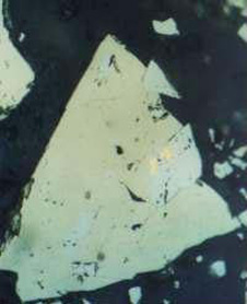 Microscope view of gold ore, seen with light shining on to a polished surface. The pale yellow shiny mineral (2 mm across) is pyrite (fools gold), with some small grey-white grains of arsenopyrite. These are surrounded by quartz which looks almost black in reflected light. Two tiny grains of gold can be seen in the red box. This is typical of Otago hard-rock gold, and is extremely difficult to extract.