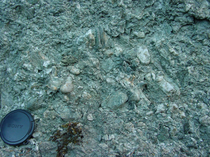 Blue Spur Conglomerate with abundant blue-green clay cement.
