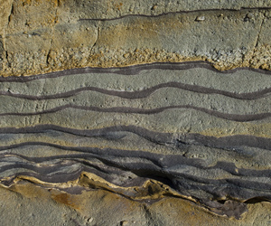 Wangaloa Domain - asymmetric mud-silt ripples interbedded with a medium grained sandstone as a result of (paleo)-tidal activities. The beds are topped by a conglomerate sandstone. 
