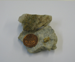Disseminated gold in quartz, from the 627 metre deep Waiuta mine. Coin as scale.