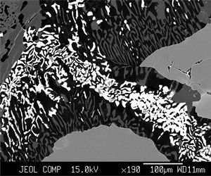 Infiltration of a hot fluid at low pressure has caused formation of olivine-spinel-plagioclase symplectites and then wormy amphibole-plagioclase kelyphites after eclogite facies garnet. Backscattered electron image.