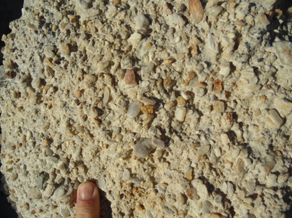 Close view of quartz pebbles (white) in old-bearing quartz gravel (20 million years old) at the north end of Tucker Hill. 