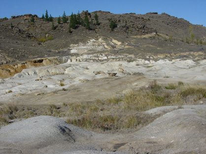 Historic placer gold workings in 20 million year old quartz gravels at Chapman Road Scientific Reserve, west of Alexandra. The white material in the background includes remnants of the sediments, and the white and grey material in the foreground and middle distance is clay-rich schist bedrock. The schist ridge in the far distance has been up-faulted against the sediments by one of the Manuherikia valley faults.