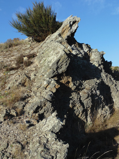 Outcrop of a fault zone at the northern end of Tucker Hill. All the outcrop consists of variably crushed schist that has been cemented with quartz to make a hard resistant rock mass.