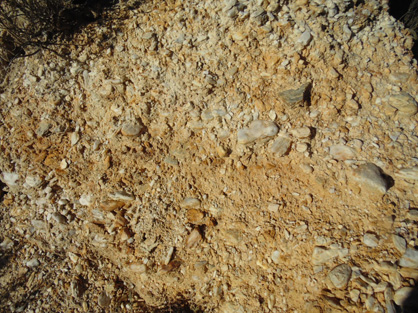 Remnant of 20 million year old quartz gravel (pebbles up to 3 cm across) on the eroding slopes of Tucker Hill, near Alexandra.