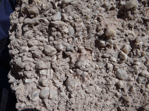 Gold-bearing Miocene quartz gravels at Pennyweight Hill historic alluvial gold mine. Pebbles are 1-2 cm across, and include both rounded and angular shapes. Angular pebbles were derived from erosion of pre-Miocene clay-altered basement at or near the Waipounamu Erosion Surface. Rounded pebbles were recycled, with gold, from pre-existing fluvial sediments.
