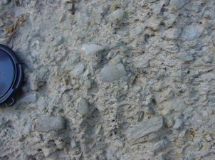 Horse range formation: Rounded quartz, typically elongate and up to 3cm long in a pale matrix