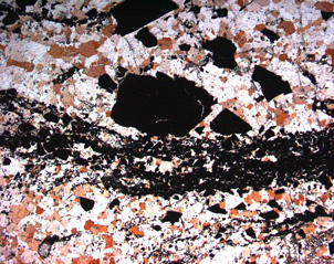 Microscopic view of a quartz vein (brown and white grains) in a late metamorphic shear zone (Jurassic) in the semischist faulted slice downstream of Fiddlers Flat. Dark horizontal seams are largely graphite aligned in the shear foliation. Large black blobs are graphite as well. This graphite was introduced via hot water but has since been recrystallized.