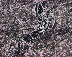 Microscopic view of a vein (1 mm wide) with graphite (black) and quartz (white) cuts across sheared greywacke in the broken formation fault slice at Fiddlers Flat. 