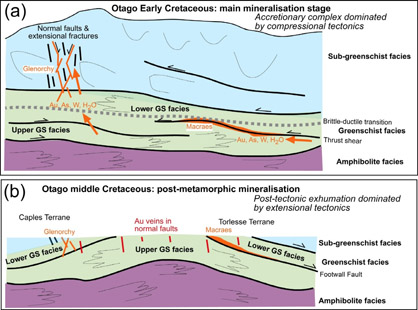 Sketch cartoons of formation of gold and tungsten deposits in structures in the Otago Schist basement. (a) Formation of Macraes and Glenorchy deposits (orange) about 140 million years ago while the accretionary complex was still being formed by compressional deformation at the Gondwana margin. (b) Formation of gold-bearing quartz veins about 110 million years ago when Gondwana was breaking up and New Zealand was about to separate from Australia. These latter veins formed while the Otago Schist was being extended tectonically during Gondwana breakup.