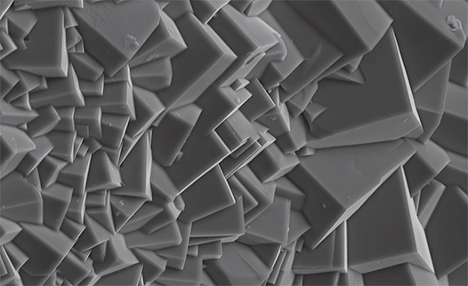 Grayscale microscope image