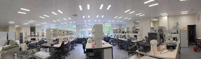 Panorama of the new Tate-Patrick_Gerth lab at Biochemistry