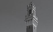 Piazza Del Campo thumbnail