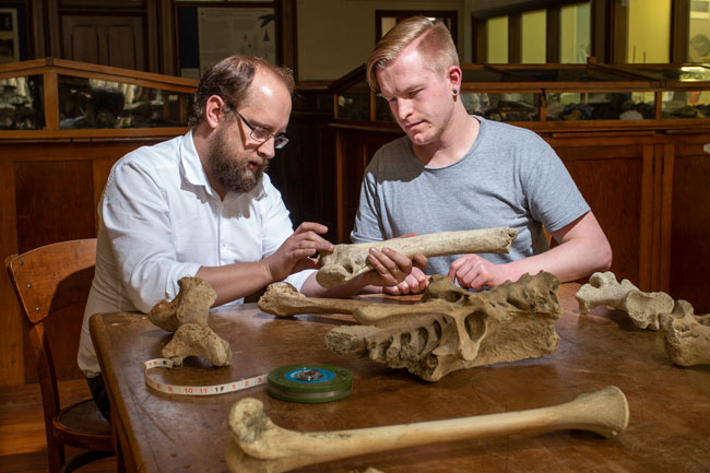 Dr Nic Rawlence and Dr Alexander Verry examining bone specimens image
