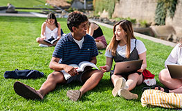 Students sitting on the grass studying