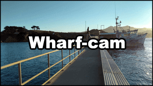 Wharf-cam