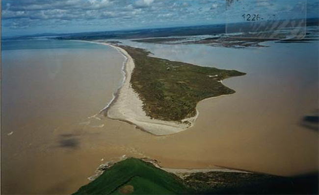 Mataura River Sediment Plume 1999 image