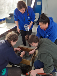 Pupils examine marine life as part of an enrichment programme image