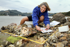 Sally Carson examining sea life in a square metre of seashore image