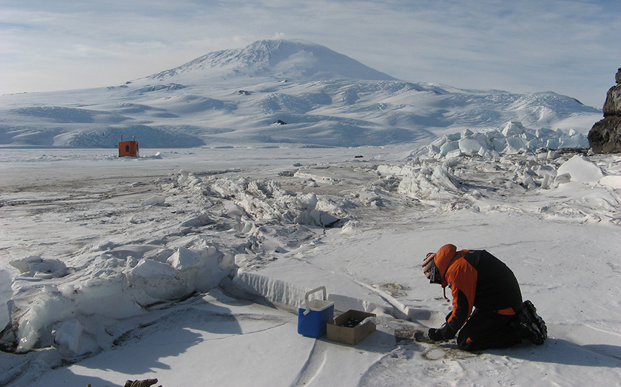 University of Otago staff member working in the Antarctic with mountain in background image 1x